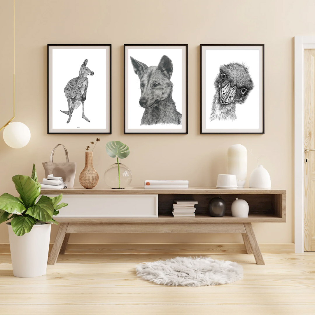 Dingo on K’gari (Fraser Island) Prints