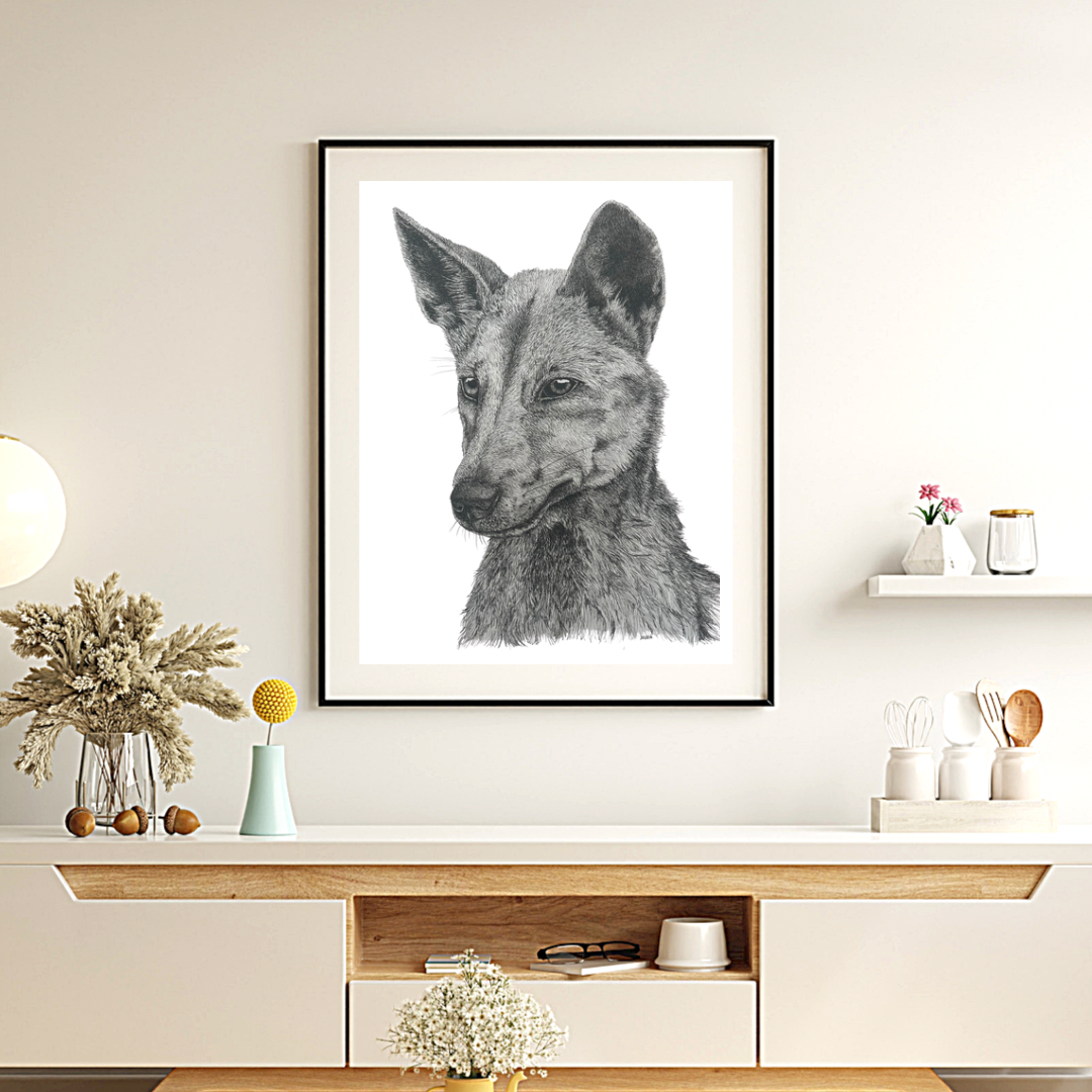 Dingo on K’gari (Fraser Island) Prints