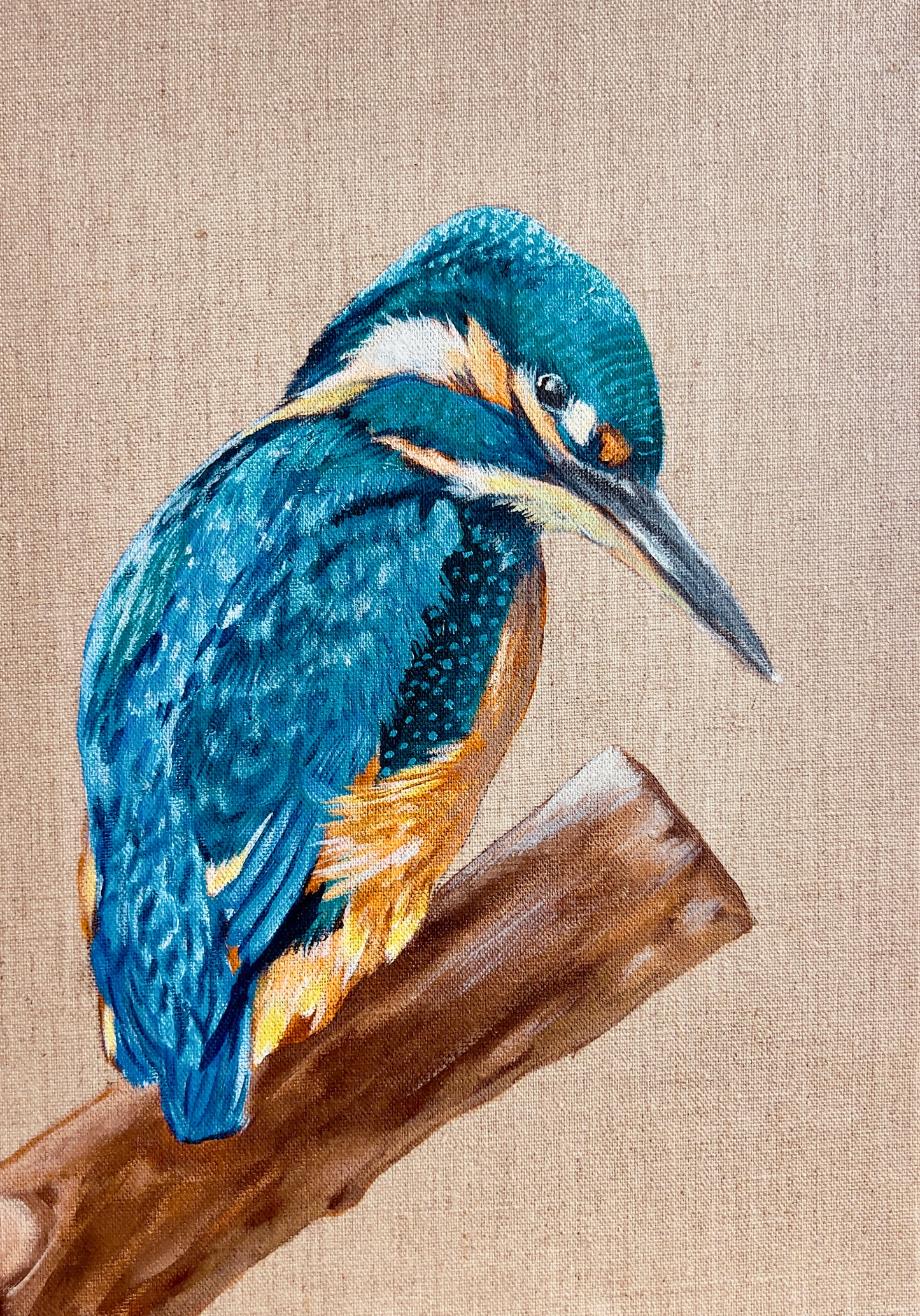 “Patience” Kingfisher acrylic painting