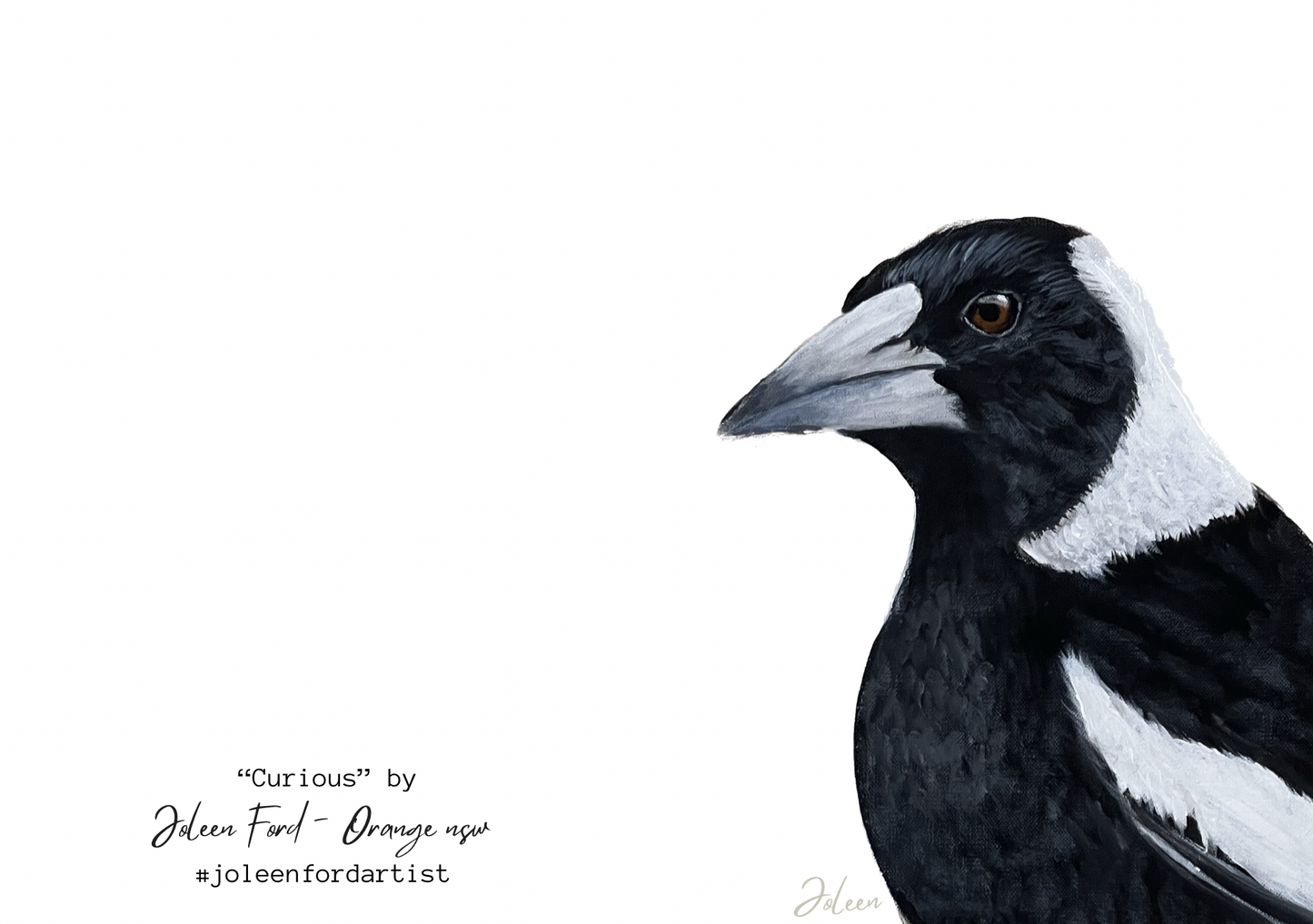 Greeting Card -  “Curious”