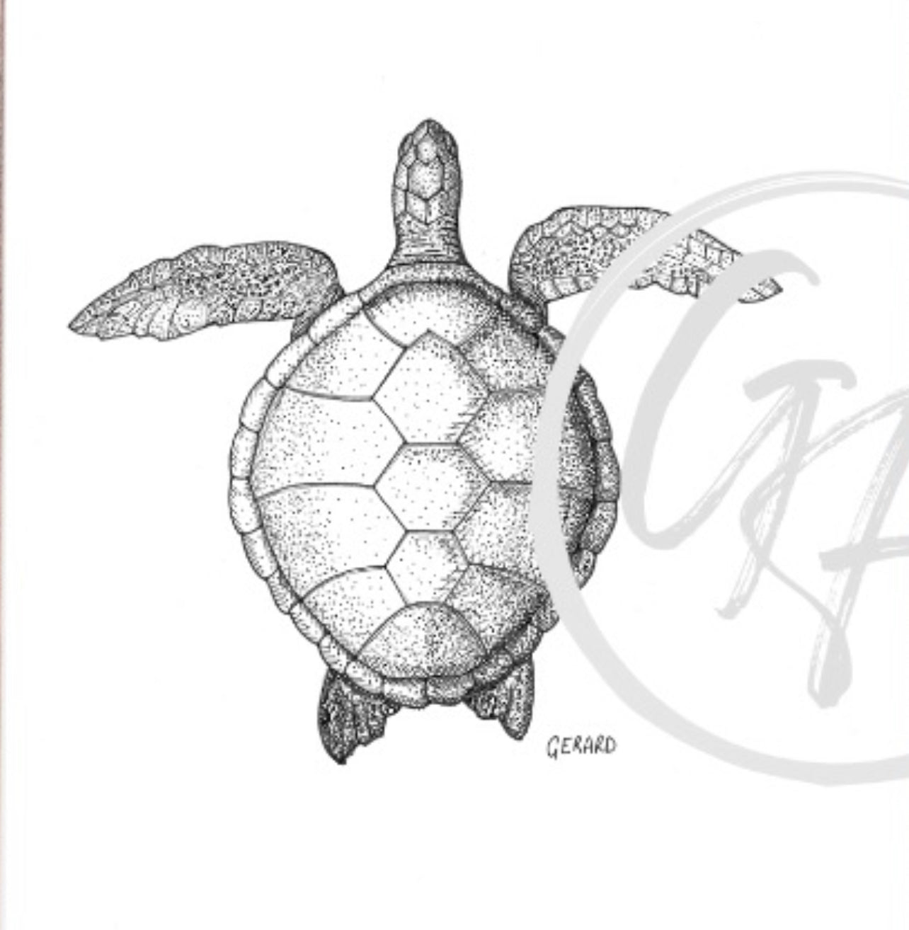 “Gliding” Turtle Prints