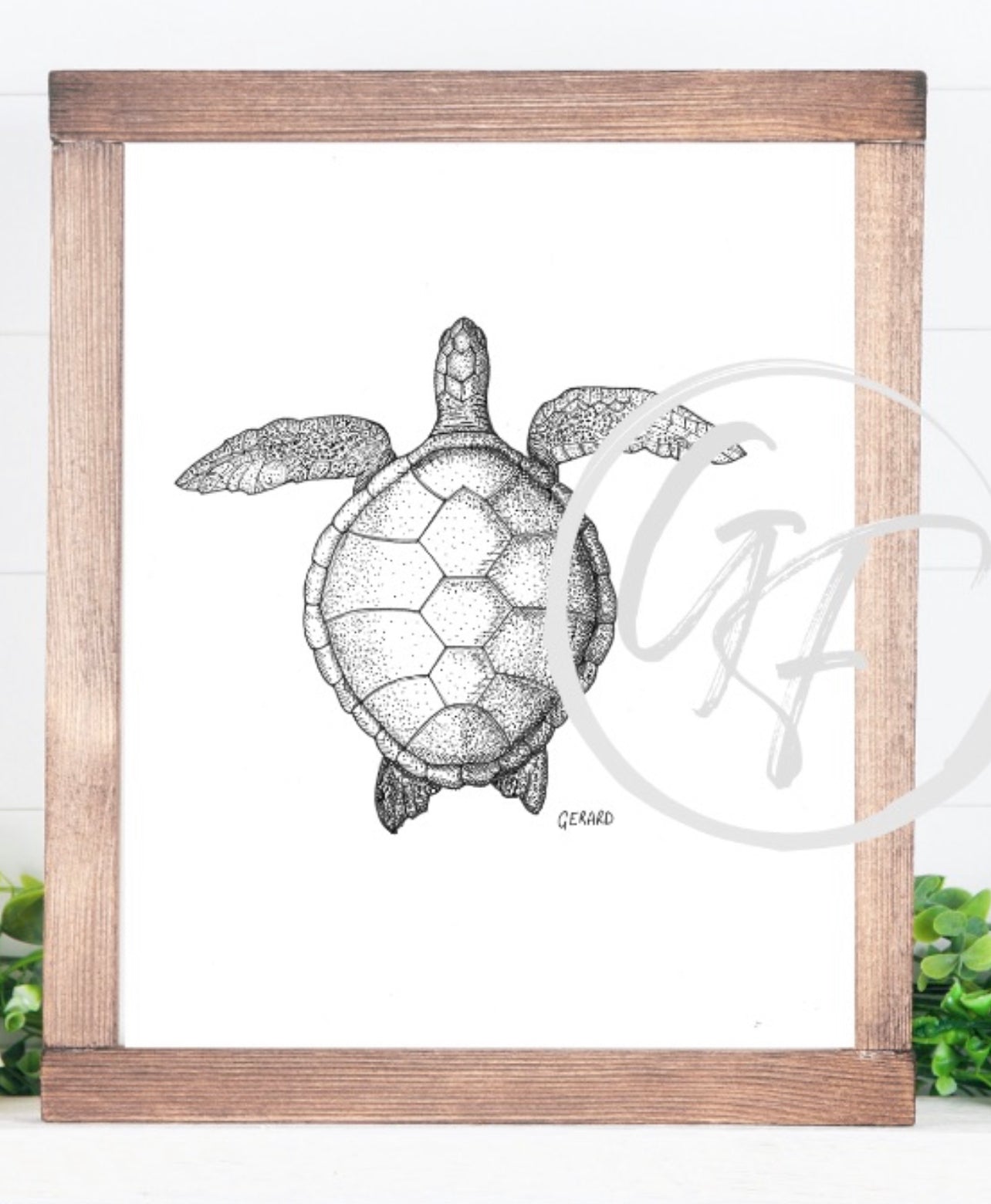 “Gliding” Turtle Prints