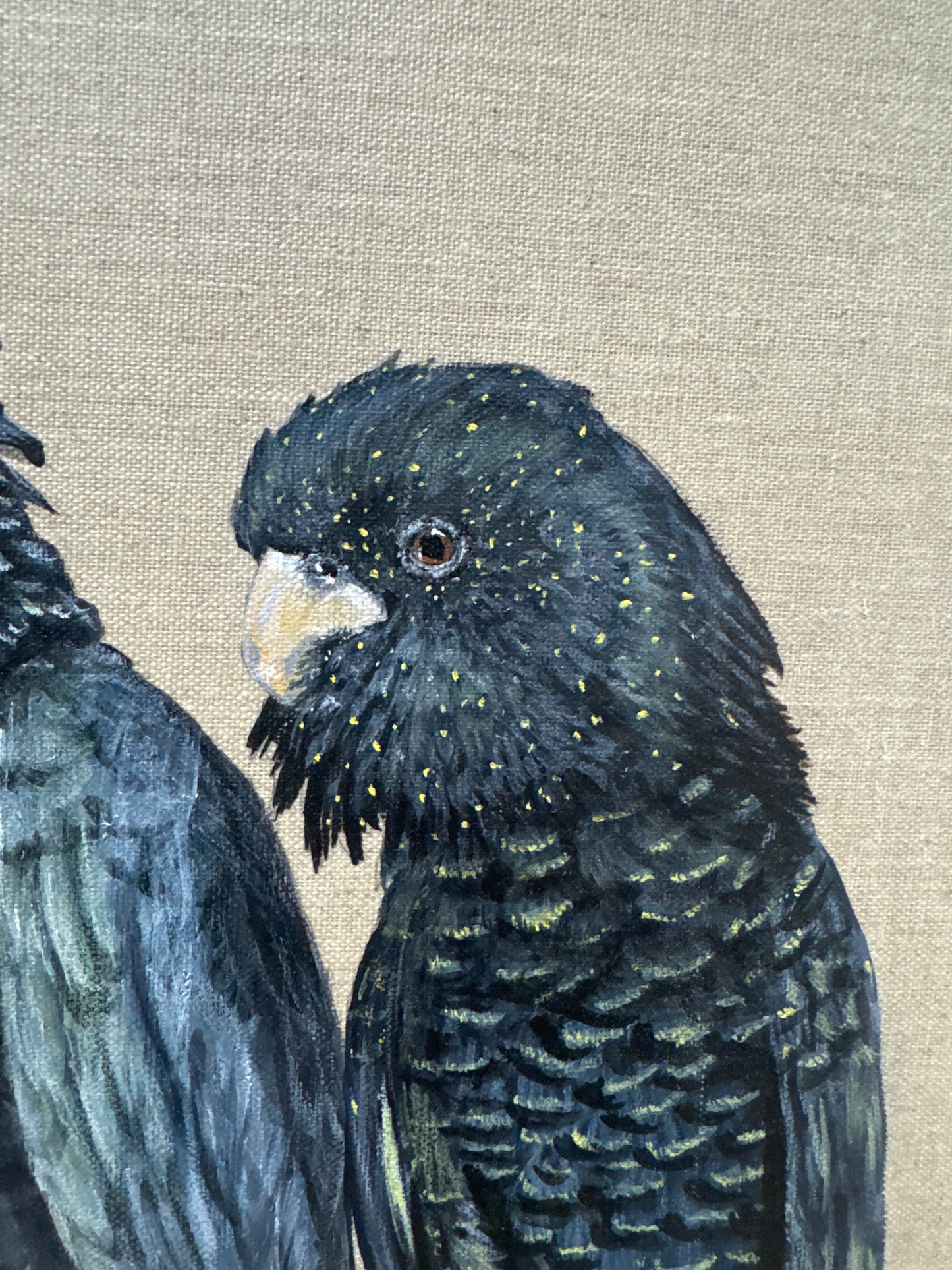 Birds of a feather