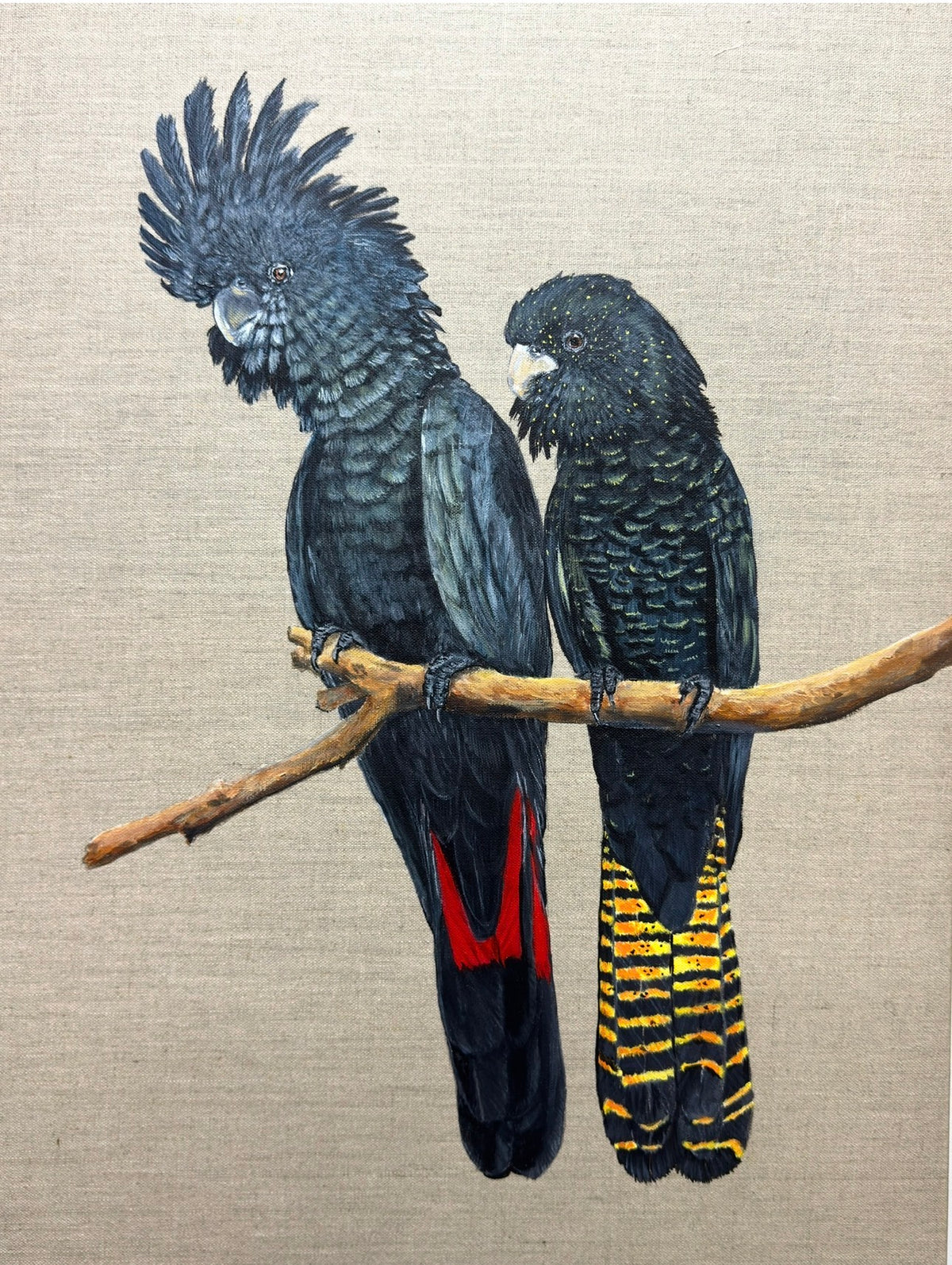 Birds of a feather
