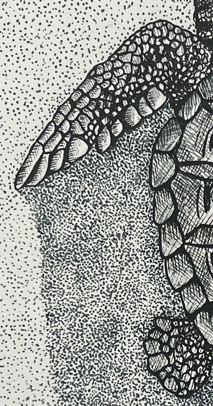 “Shadow” Baby loggerhead turtle Prints