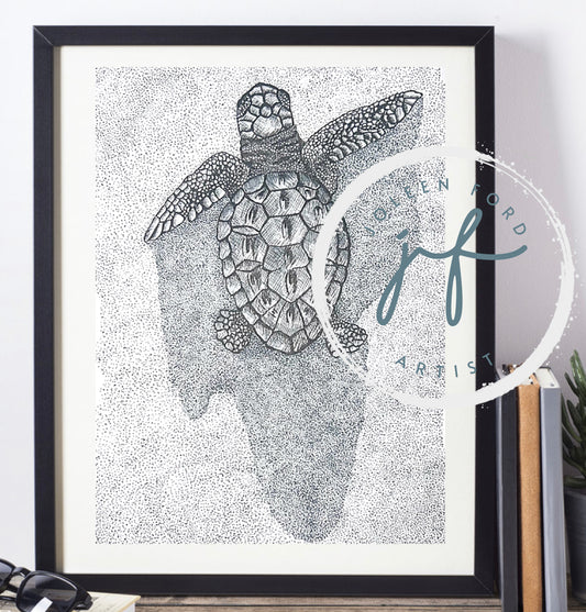 “Shadow” Baby loggerhead turtle Prints