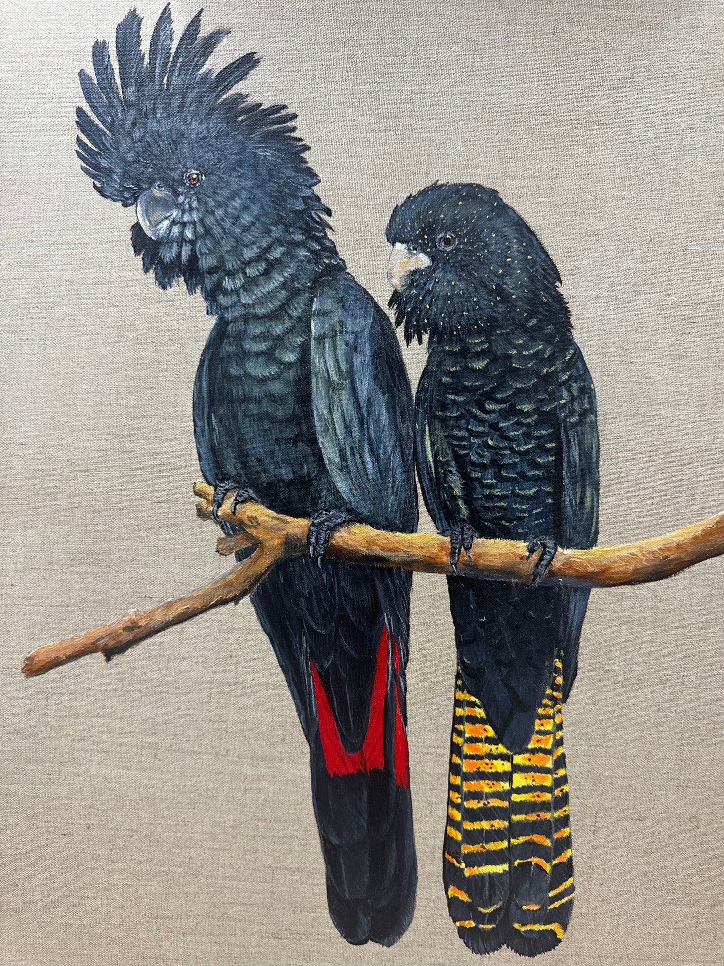 Birds of a feather